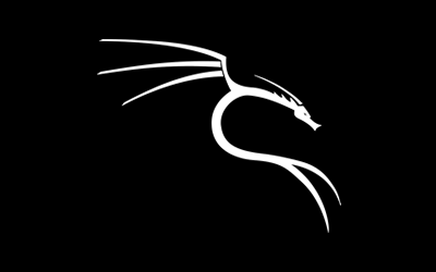 Pentest Prático com Kali Linux